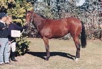 ȣ����ȭ (HODEOKCHIHWA) ����