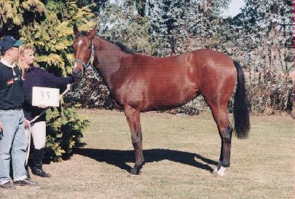 ȣ����ȭ ����