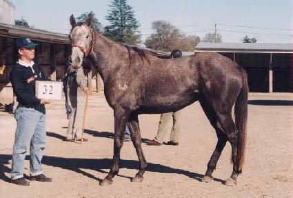 �̽�Ƽ�ε� ����