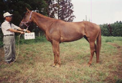 ������� ����