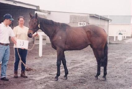 �ڽ��𽺽�Ÿ ����