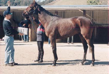 ������ ����