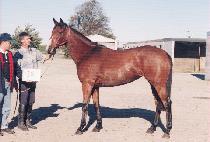 ����Ÿ (BOGOTA) ����