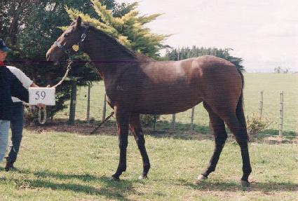 �����Դ� ����