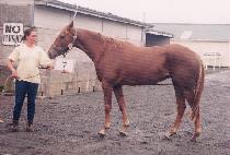 ���عٴ� (TONGHAE BADA) ����