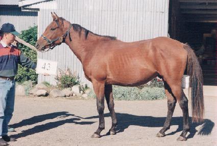 ��Ʈ���� ����