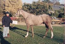 ��õ (KYEONGCH��EON) ����