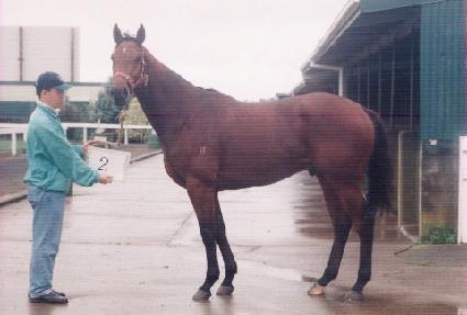 �������� ����