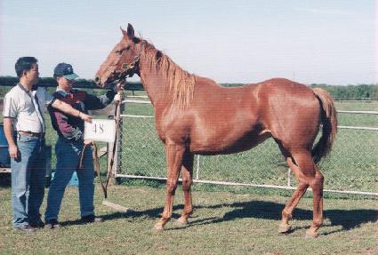 �ƽþȵ帲 ����