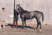 �⼼��� (KISEDANGDANG) ����