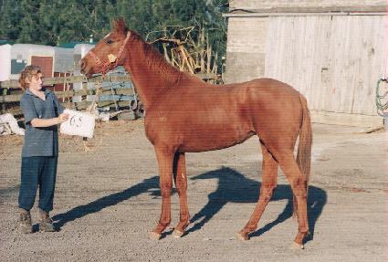 �ڼ� ����