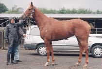 ���Ի� (KEOHAMSAN) ����