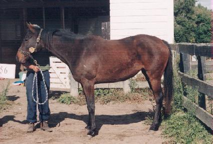 �׷���Ƽ��Ʈ ����