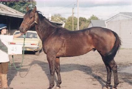 ���̺��� ����