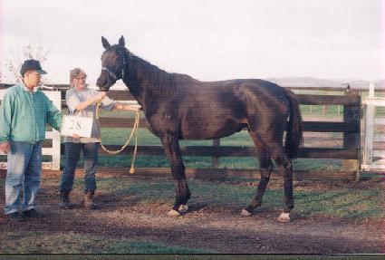 ���� ����