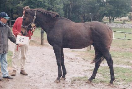 �����÷��̽� ����