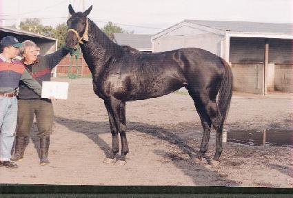 °��� ����