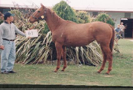 ��â ����