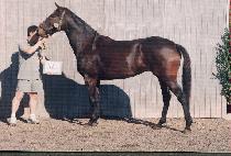 �����Ұ� (KUNUNG HALGEO) ����