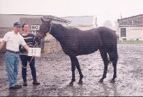 ����õ�� (P��OKCHU CH��EONSA) ����