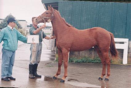 ��ũ������ ����