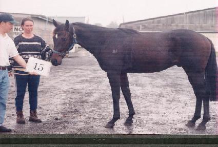 �Ѵ��� ����