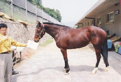 �ŵ� ����