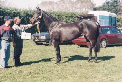 �����ٶ� ����