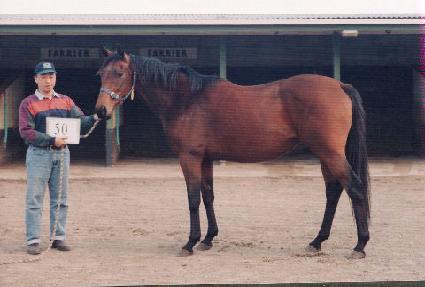 ������ ����