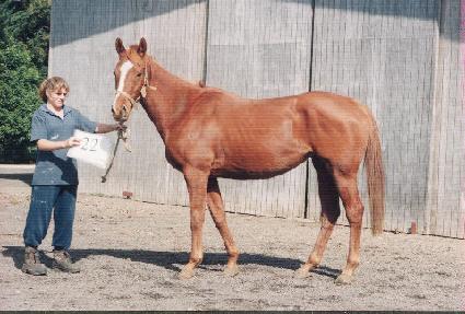 ������������ε� ����