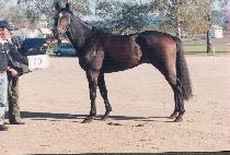 ����Ʈũ�������� (ST CREESETOPHER) ����