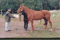 õ������ (CH��UN-GI JULJUNG) ����