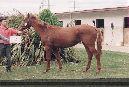 �Ŀ����� ����