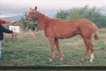 �谨 (K��WAEGAM) ����