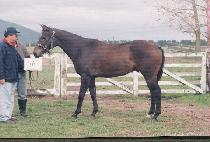 �츮���� (URI KAJOK) ����