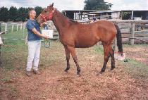 ��Ÿ�� (LONG TIME) ����