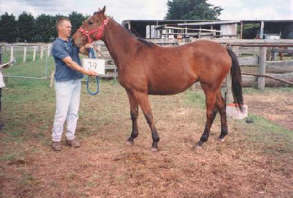 ��Ÿ�� ����