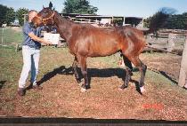 Ǯ���ö��� (FULL AND FLY) ����