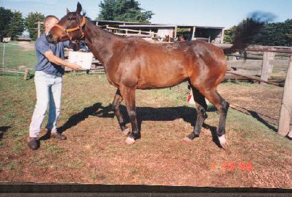 Ǯ���ö��� ����