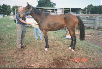 ��Ʈ�ν��ɾ�ũ�� ����