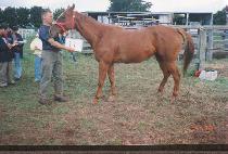 ����Ʈ����ġ (JUST BLETCH) ����