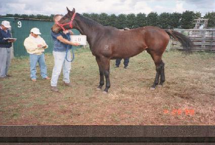 ���̵𺣸� ����