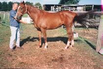 Ŭ�����Ž��� (CLASS MASTER) ����