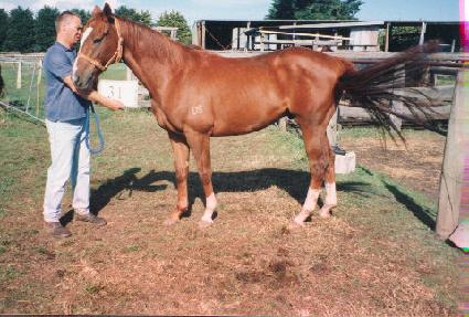 Ŭ�����Ž��� ����