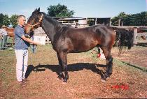 ������� (KWANGMYEONGDAESUNG) ����