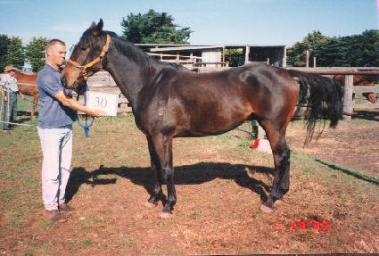 ������� ����