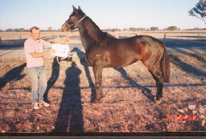 ž���� ����