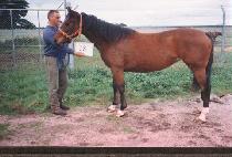 �淯��Ƿ� (KILLEORA SHILLYEOK) ����