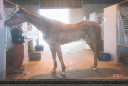 �巯���������� ����