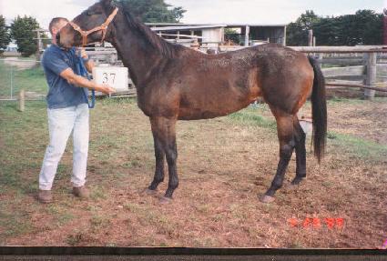 Ŀ����ĳ�� ����